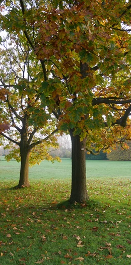 Sundsvägen, Alnarp - Foto 1