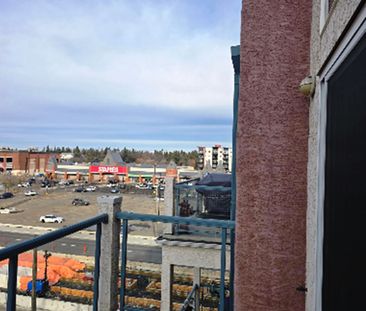 GREAT 2 BED, 2 BATH CONDO IN DOWNTOWN EDMONTON (OLIVER) W/ 2 HEATED... - Photo 4