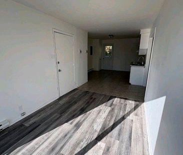 Magnifique logement 41/2 à louer - Photo 3