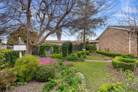 Charming Family Home for Lease in Kooringal - Photo 2