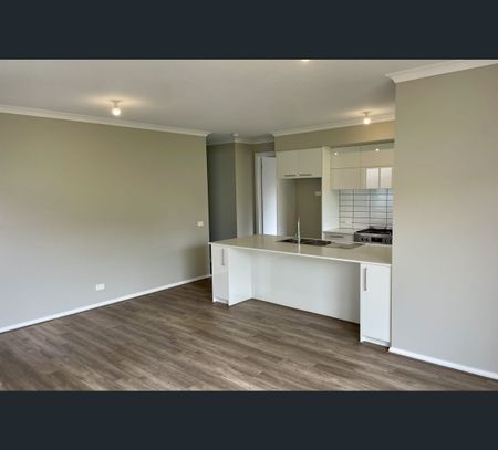15 Revival Street, Charlemont, Vic 3217 - Photo 4