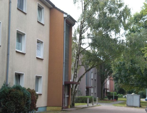 Gepflegte EG-Wohnung in schöner Lage - Foto 1