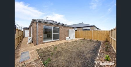 All New Contemporary Charm with North-facing Courtyard - Photo 3