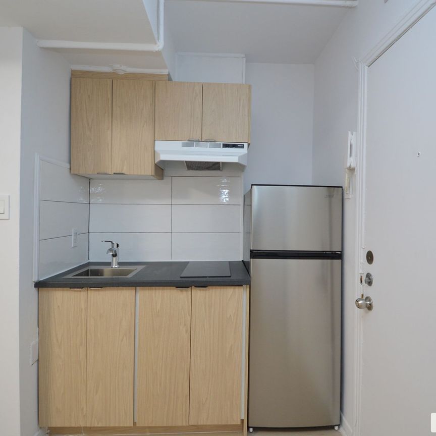 Studio-3065, boulevard Édouard-Montpetit, Côte-des-Neiges / Notre-Dame-de-Grâce à louer - Photo 1