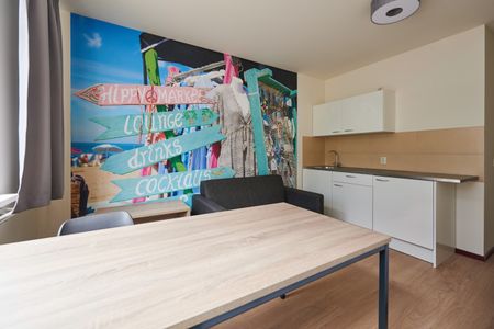 Te huur: gemeubileerde studio's voor studenten in Leiden - Foto 3