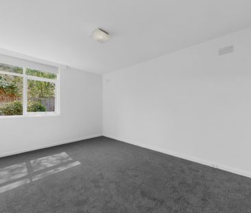3/125 Glen Huntly Road, Elwood VIC 3184 - Apartment For Rent | Domain - Photo 4