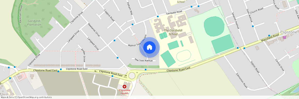 Fir Tree Close Forest Town, NG1, Mansfield