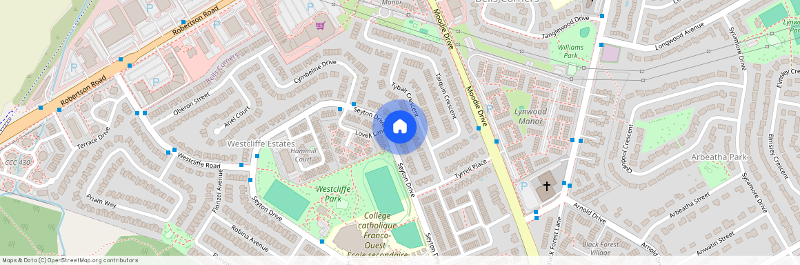 538 SEYTON Drive, Bells Corners And South To Fallowfield