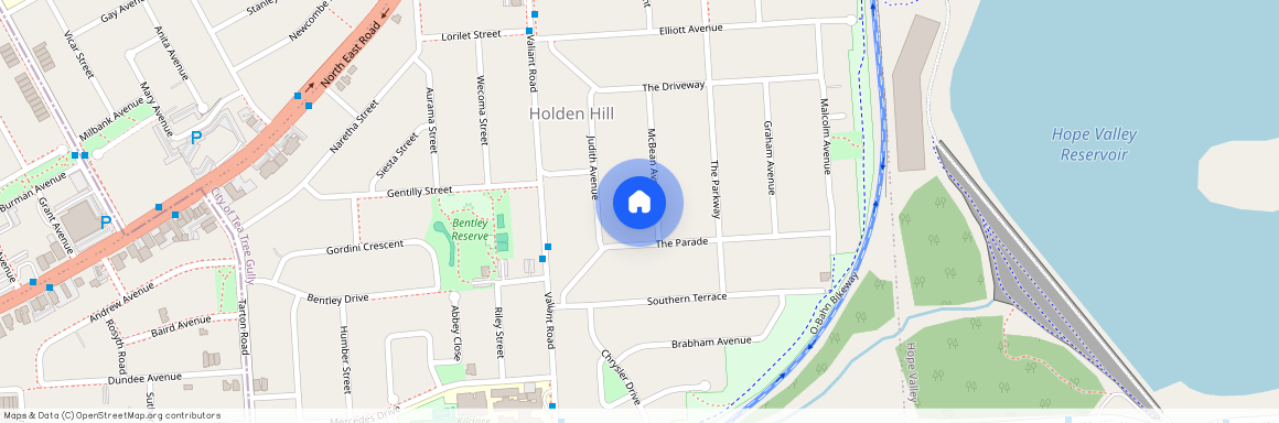 20A McBean Ave, SA 5088, Holden Hill