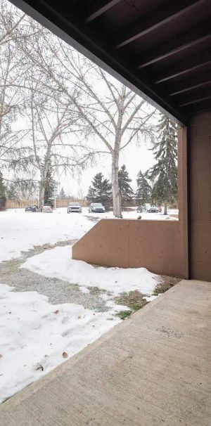 Pineridge Apartments — 2 Bedrooms - Photo 2