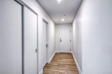 9675 Av. Papineau, app.402, H2B 3C8, H2B 3C8, Montréal - Photo 5