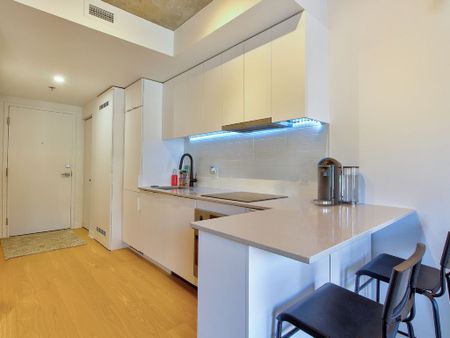 1406 Rue Ste Élisabeth, Montréal (Ville-Marie), QC H2X - Photo 5