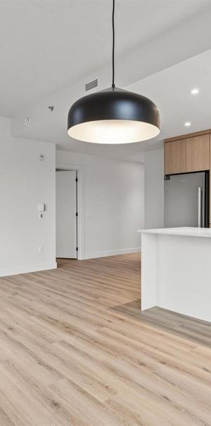 Studio - 2800 Boulevard Thimens, Deschaillons-sur-Saint-Laurent - Photo 1