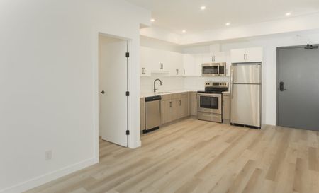 Kingston: Black Accents – 710 Westminster - Photo 4