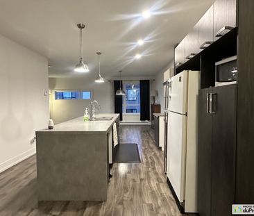 9-730, rue Saint-Denis, Mercier à louer - Photo 3