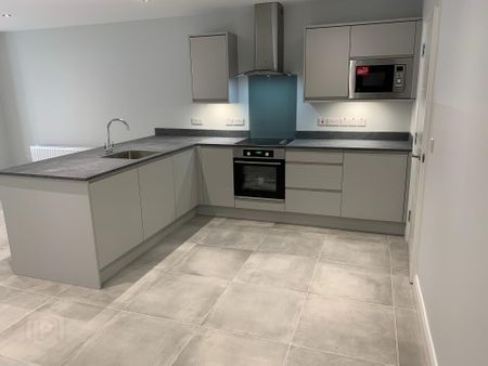 14a Balmoral Gate, Stockmans Lane, Belfast, BT9 7JA - Photo 4