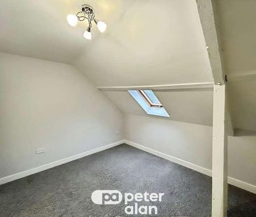 Industrial Terrace, Troedyrhiw, Merthyr Tydfil, CF48 - Photo 4