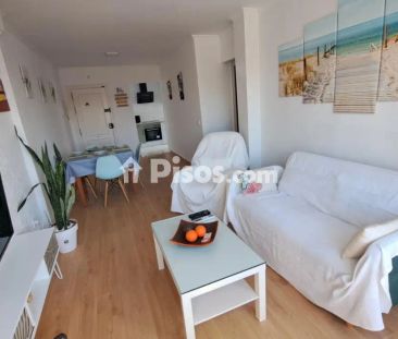 Apartamento en alquiler en La Barrosa - Photo 1