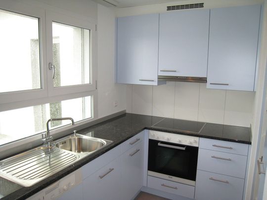 Schöne und grosszügige 3.5-ZWG im EG zu vermieten - Foto 1