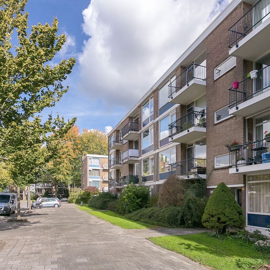 Ruigenhoek, 3085 EN Rotterdam - Foto 1