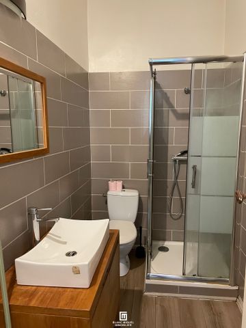 Location Appartement 1 pièce 51m² BORDEAUX 33000 - Photo 4