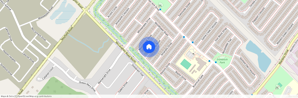 36 Callalily Road Unit# Bsmt. Only, Brampton