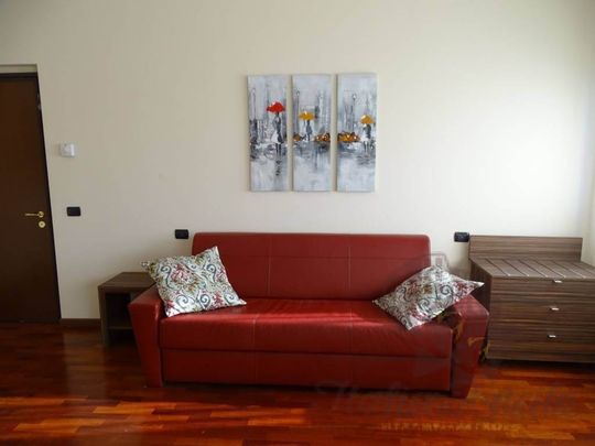 Однокомнатная квартира в отличном состоянии - Photo 1