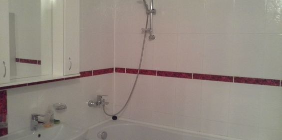 Garsoniera de inchiriat in zona Banu Manta - Fotografie 3