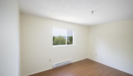 246 Bedford Highway - Photo 3
