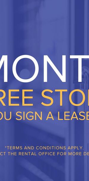 Davisville Village Apartments - Photo 1