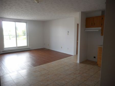 2080-310 rue Gauthier 1050$ Vacant - Photo 5