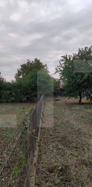 Casă 3 camere, 82 mp, curte de 1200 mp, zona Gheorgheni, po - Fotografie 2