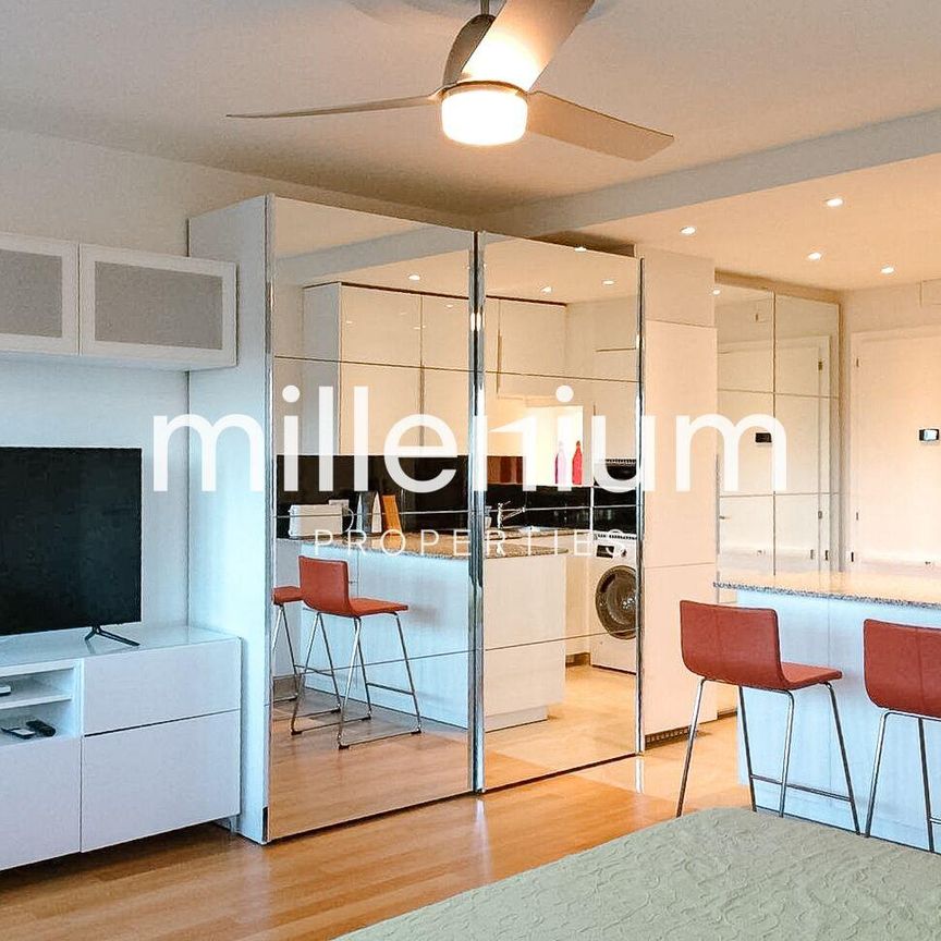 Studio meublé avec vue Mont-Blanc à Versoix - Photo 1