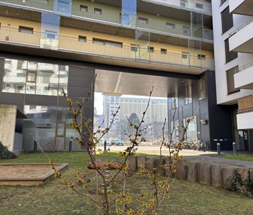 Frühlingserwachen - Foto 2
