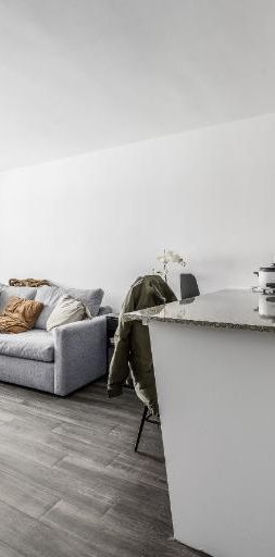 Loft entièrement meublé à louer Sainte-Foy / Sillery janvier 2026 - Photo 1