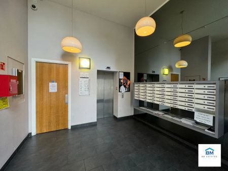 1 Bedroom Apartment - Photo 3