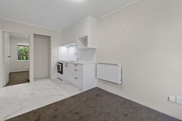 Stunning Newly Renovated 1-Bedroom Apartment in the Heart of Mt Albert - Photo 1