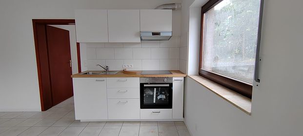 Schöne, komplett renovierte 1-Schlafzimmer-Wohnung in Lichtenbusch - Foto 1