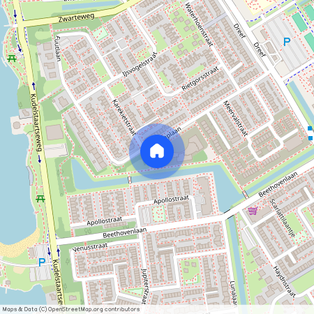 Hornmeer, 1431 WH, Roerdomplaan, Aalsmeer