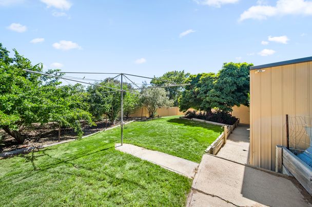 48 De Graaff St, Holder ACT 2611 - House For Rent | Domain - Photo 1