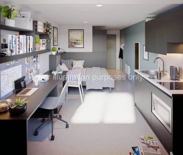 Classic Studio - Photo 6