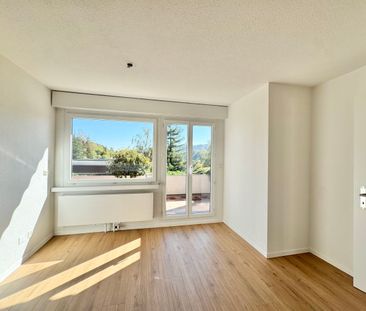 Sonnige Hanglage mit Rheinblick: 5.5-Zi. Terrassenhaus an ruhiger Lage - Foto 3