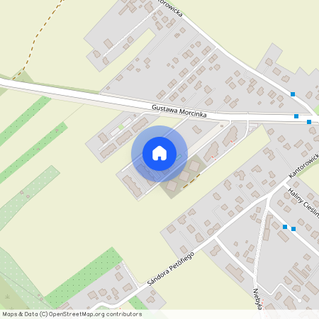 Gustawa Morcinka 86, Kraków, Wzgórza Krzesławickie, Zesławice