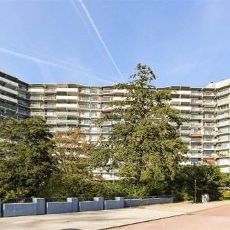 Loenermark, 1025 Amsterdam, Nederland - Photo 3