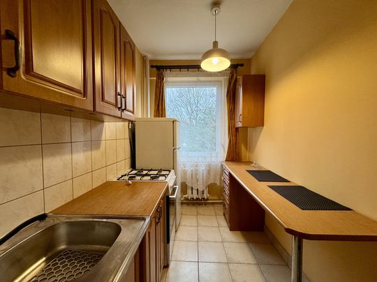 2 POKOJE NA WYNAJEM- NOWE MIASTO - Фото 1