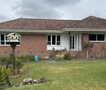 Car Lovers Delight - Photo 5