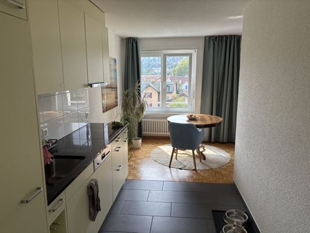21/2-ROOM APARTMENT IN WÄDENSWIL (ZH), FURNISHED, TEMPORARY - Photo 2
