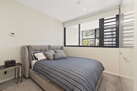301/241 Oxford Street, Bondi Junction NSW 2022 - Apartment For Rent | Domain - Photo 2