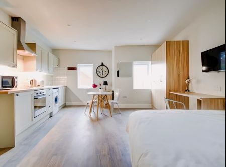 1 Bedroom 1 Bathroom - Photo 4