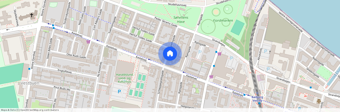 Schleppegrellsgade 66, 3.tv, Aalborg